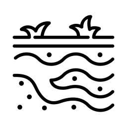 Origen y composición